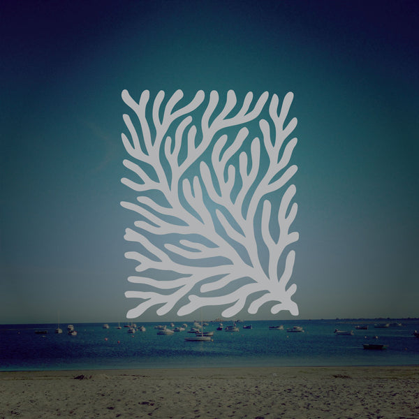 Algue Marine - Sticker Verre Gravé Végétal Marin