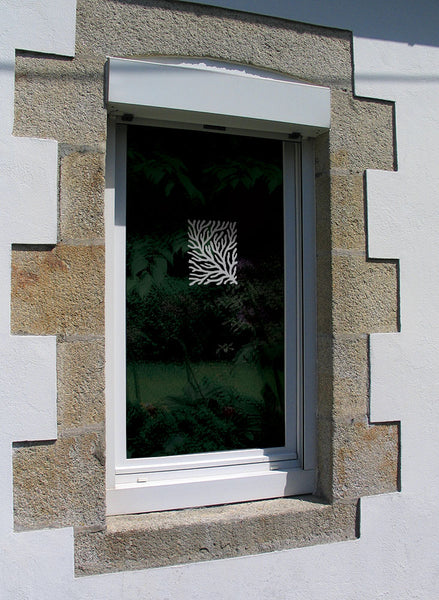 Algue Marine - Sticker Verre Gravé Végétal Marin